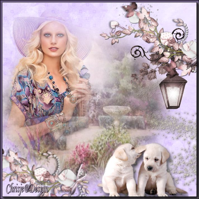 Image and video hosting by TiyPic